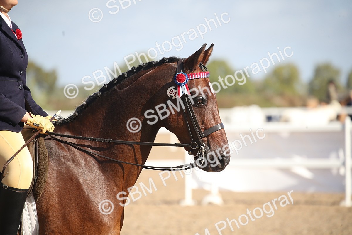 SBM_22818 - Class 602 - 2026 Area - Ridden Veteran