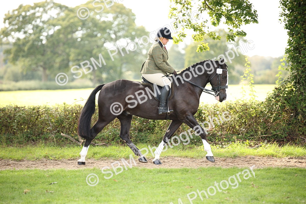 SBM_70369 - S66 - Hunter Ridden