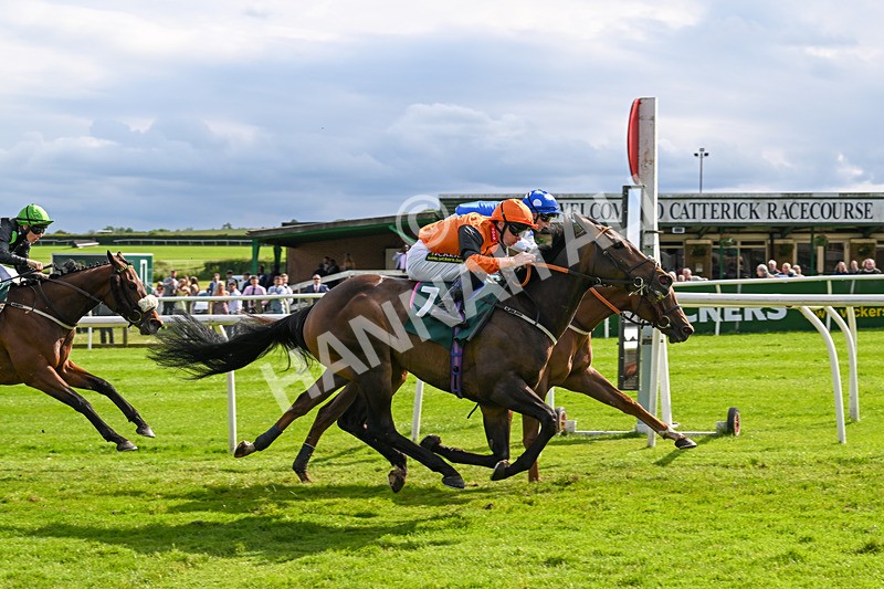 180624-Race 5-Sea The Dream-0592 - Race 5