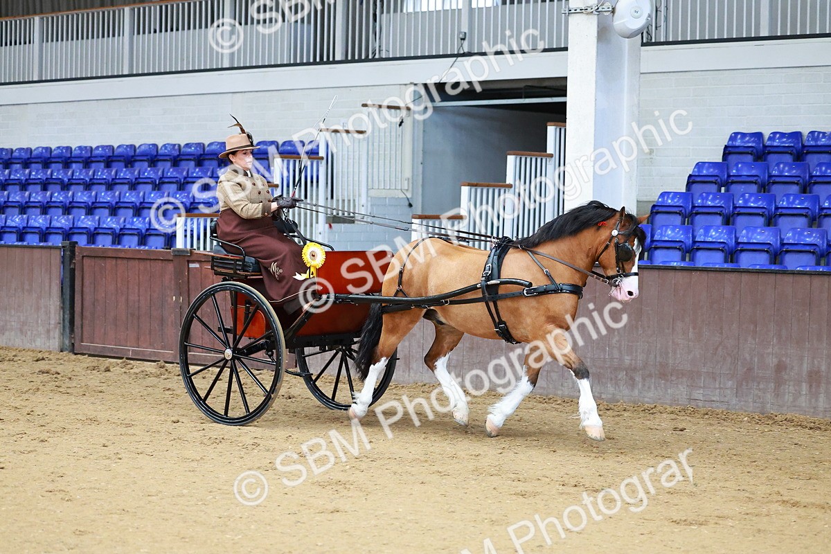 SBM_000167 - Class 3 - Alison Thomas Memorial Lady Whip