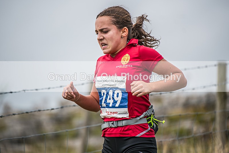 Year 10-11-250 - The English Schools Fell Running Championship Giggleswick Year 10-11 Sunday 6th October 2024