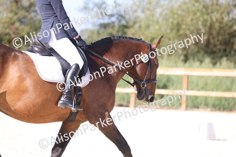 20260905-1596 - Class 5 - Novice 2