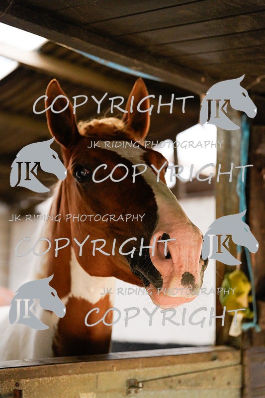 _DSC4043 - General Photos of the week!