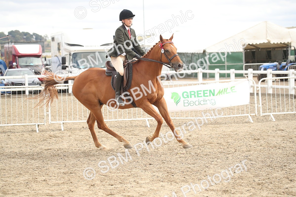 SBM_17843 - Class 508b - Working Veteran 70cm (20+)