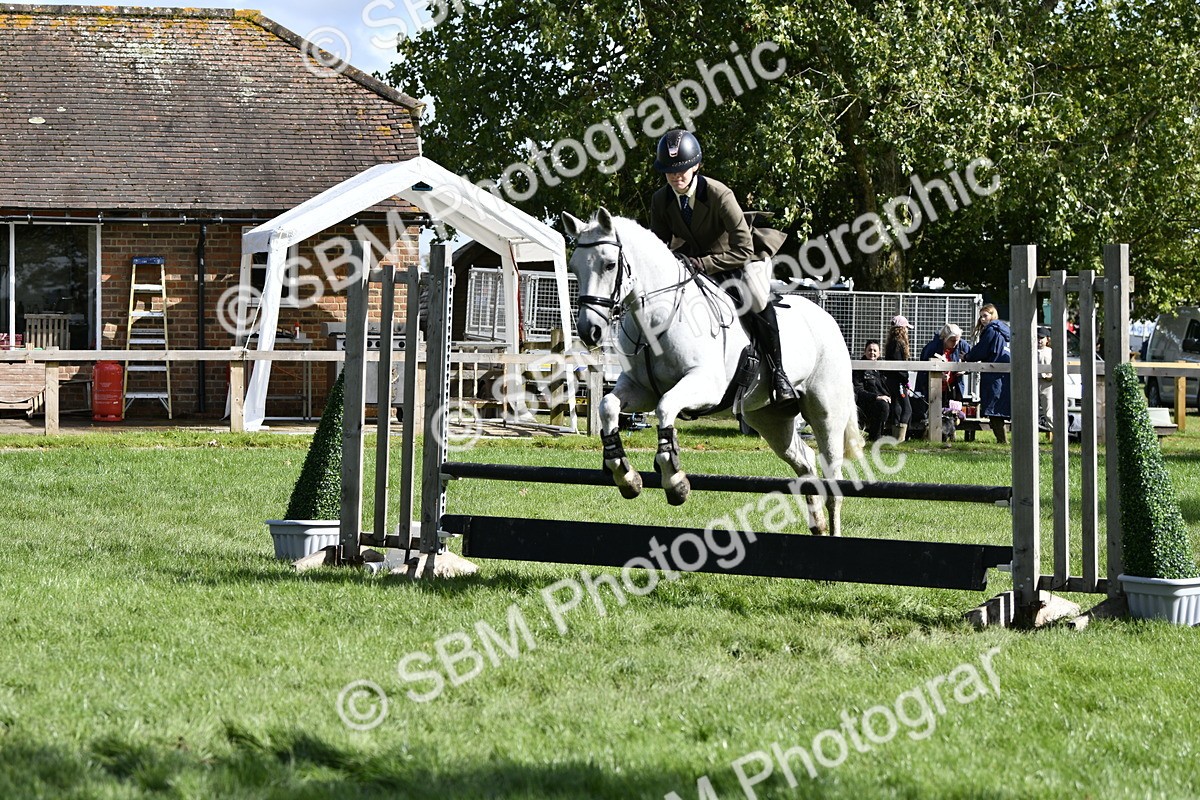 SBM_45736 - S33 - Working Hunter Pony