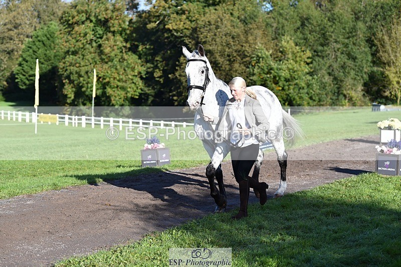 231022-100412-22221 - 474-MENELAUS-Elise.Washer-TrotUp+SJ