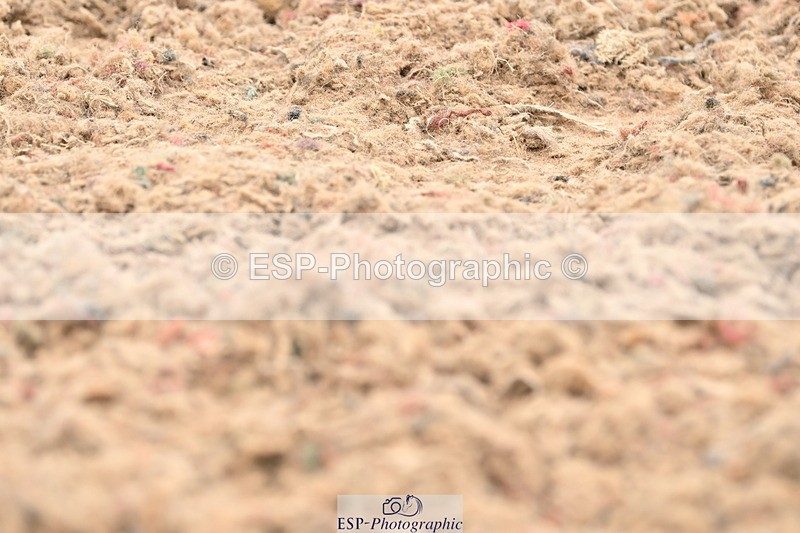 240623A-161216-19882 - Cls 54 BD Medium 73