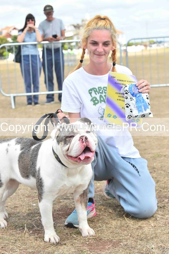 SH4_0208 - Dog show.
