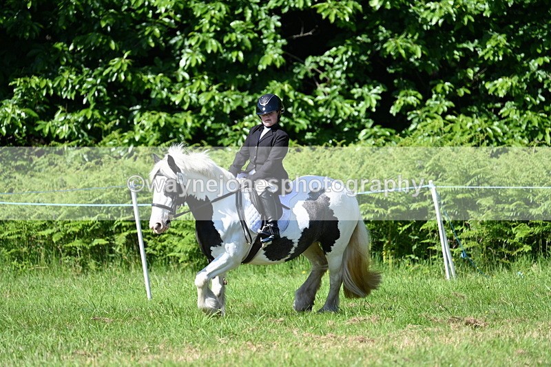 WJ7_0522 - Class 8 First Rally Pony