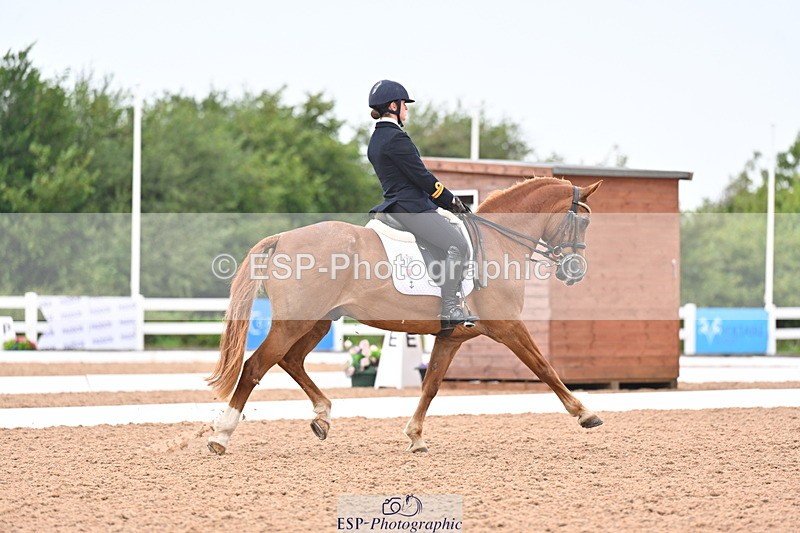 240815A-135856-01718 - 170-India.John-Grayswood.Orlando