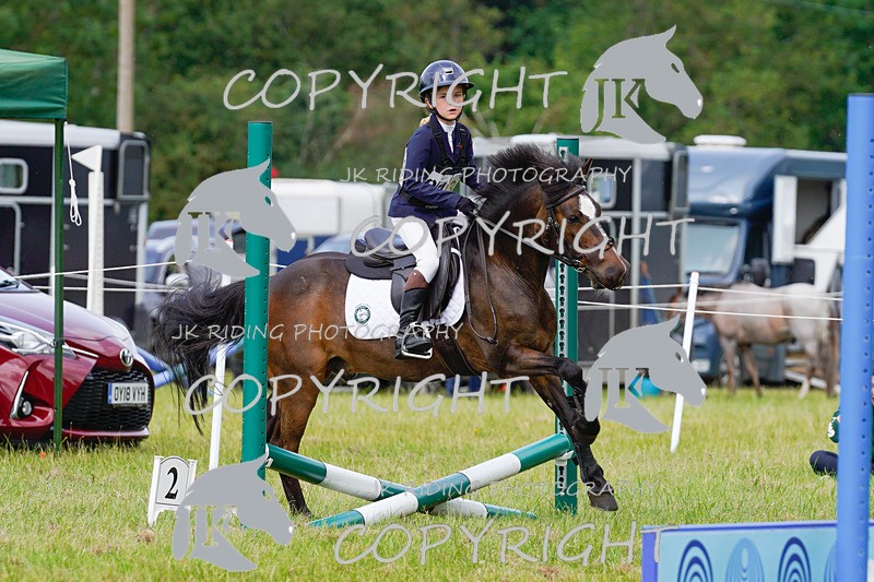 _DSC4879 - CLASS 7 HORSE & HOUND RING 2