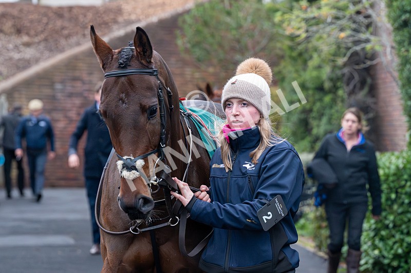 161125-Race 6-Bud Fox-1814 - Race 6
