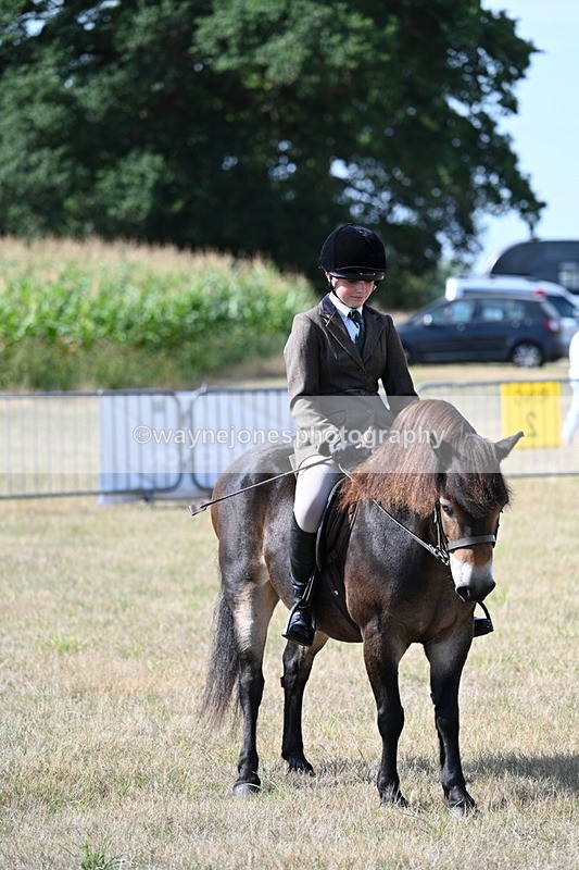 WJ7_2756 - Class 8 Ridden Tack & Turnout