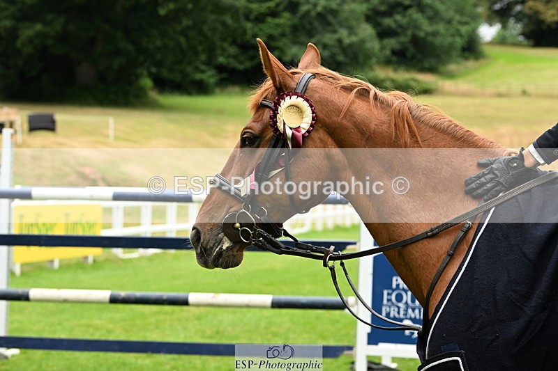 250706A-105510-17410 - Cls 43 Snr 1.30m Grand Prix