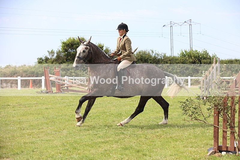 JPP_4080 - Class 24: Working Hunter 90cm