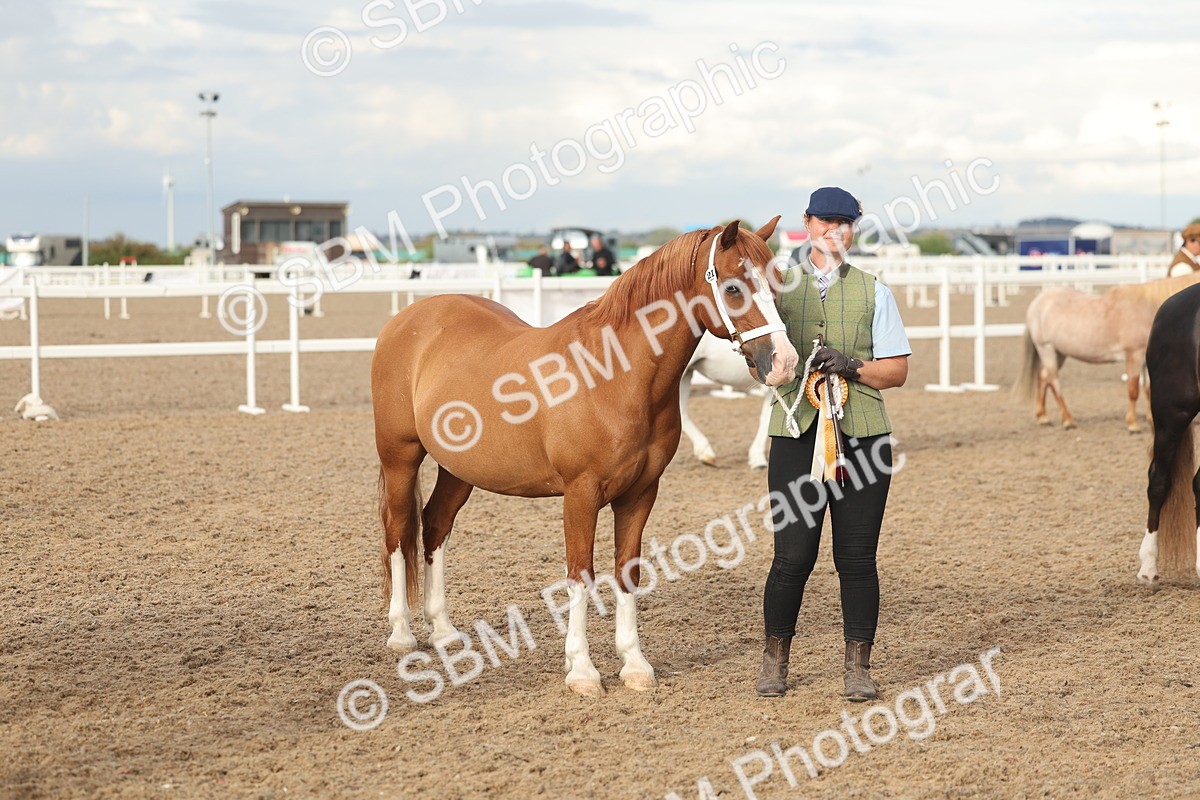 SBM_08591 - Class 29 - IH Veteran Pony
