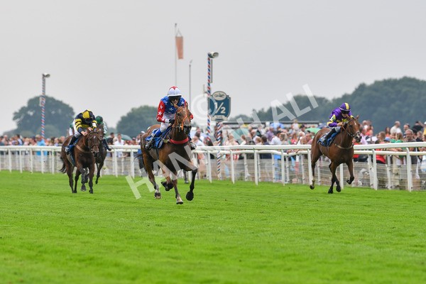 100923-Pony Race 1-Seal The Deal-1543 - Pony Race 1 12.25 The Dragon (TV and Film) Studios Pony Race 148cm & Under