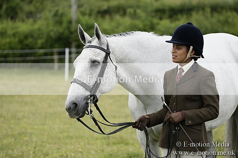 BVR160717-236 - Ring 2 BVRC Show 16/07/17