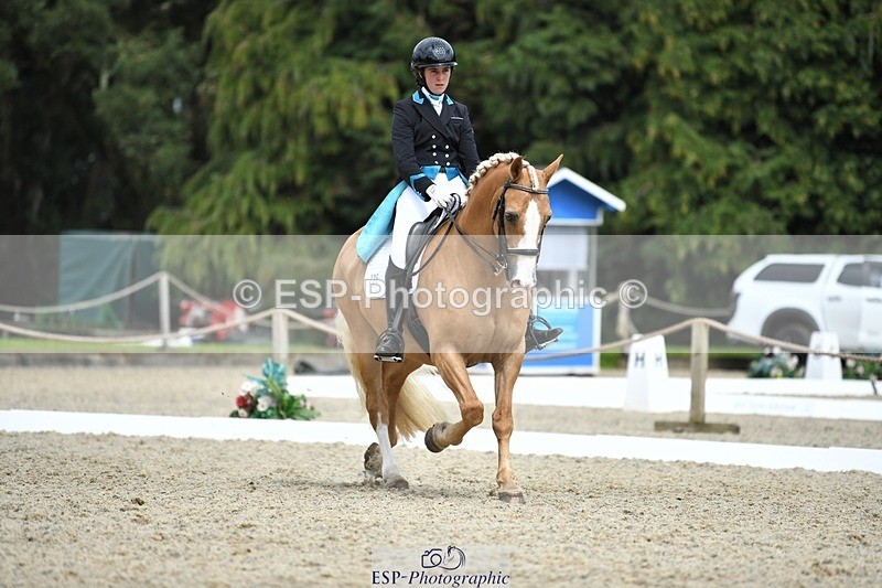 230812-142249-04684 - Cls 7 FEI PSG Bronze