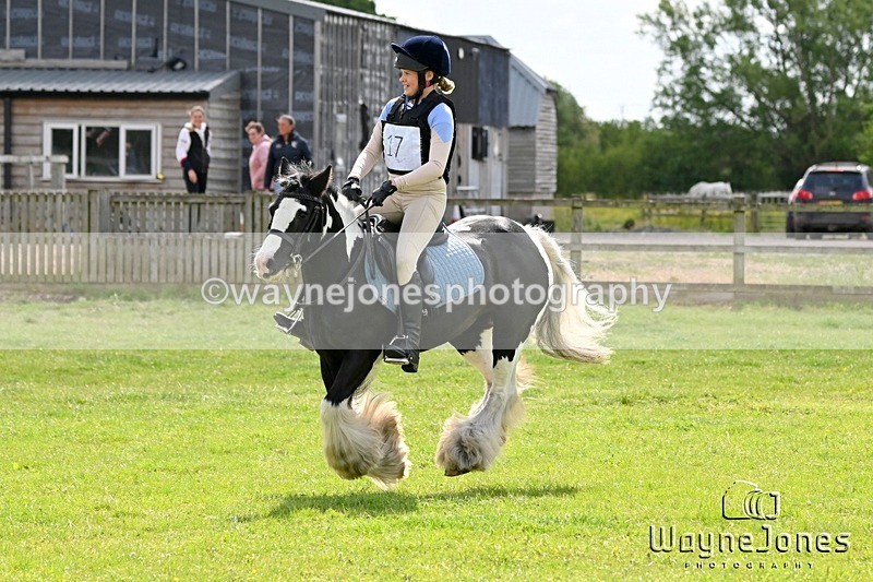 WJ6_2726 - Edited examples