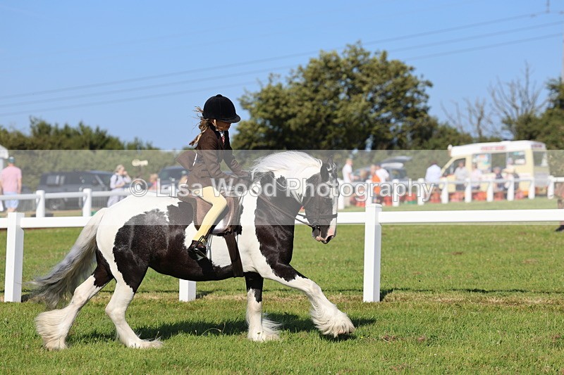 IMG_1511 - Class 30: Ridden Native/Trad Coloured Pony