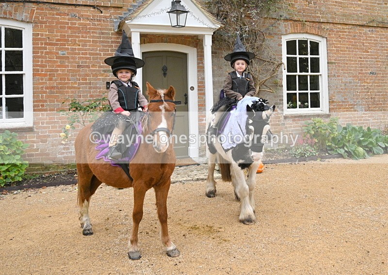 WJ7_6970 - Berks & Bucks - Children's Meet - The Old Farmhouse – Steventon.