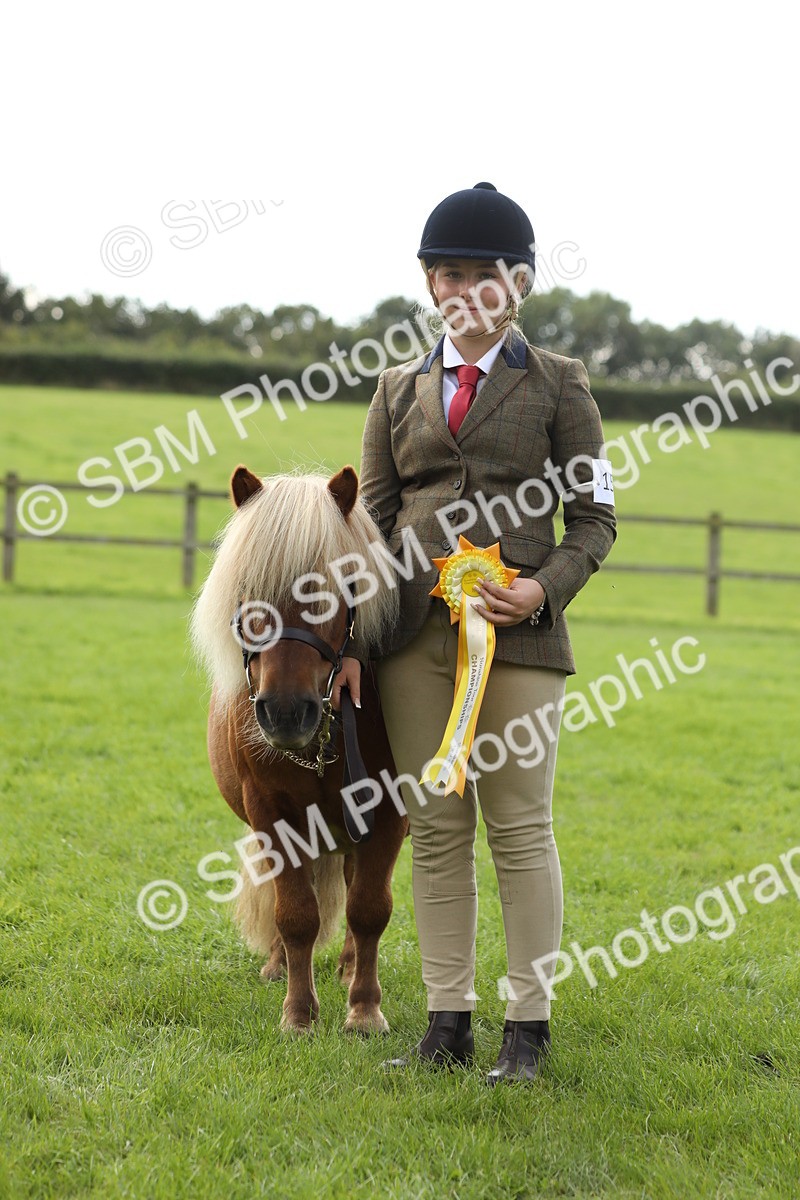 SBM_62874 - S46 - Mountain & Moorland In Hand Small Breeds