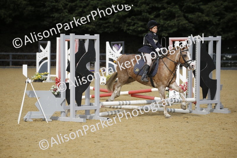 20250622-1569 - 40cm