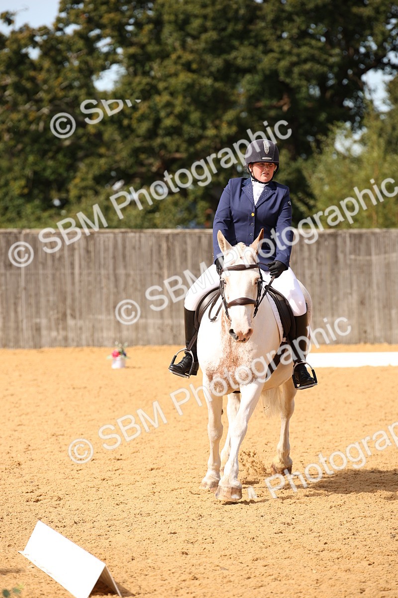SBM_21751 - D5 - Small Tour Championship - Intro C