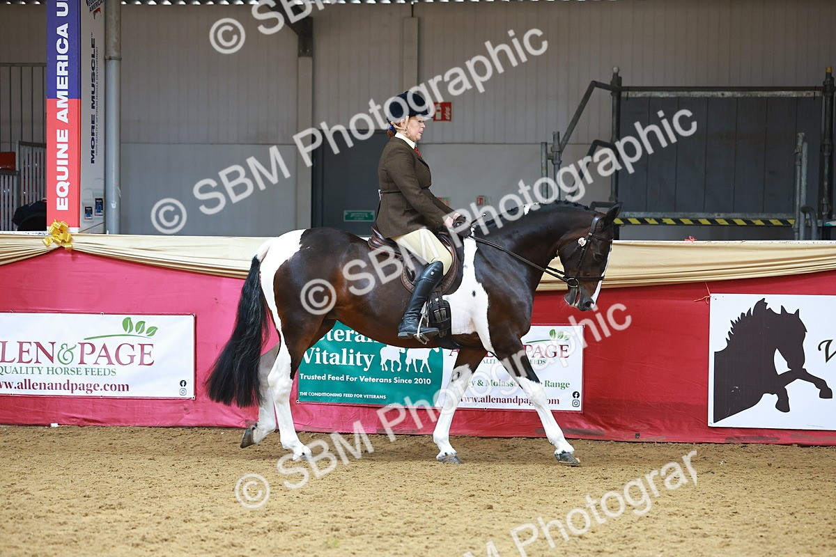 SBM_09584 - Class 102 - HOYS Veteran Qualifier - Ridden Veteran