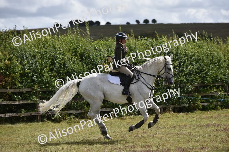 20250831-4125 - Class 13 - Working Hunter Horse or Pony