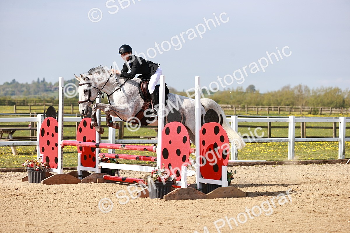  - Class 21 - Senior British Novice - 90cm