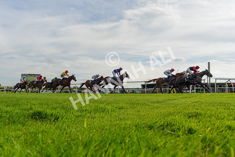 130524-Race 6-Stellarmasterpiece-9539 - Race 6