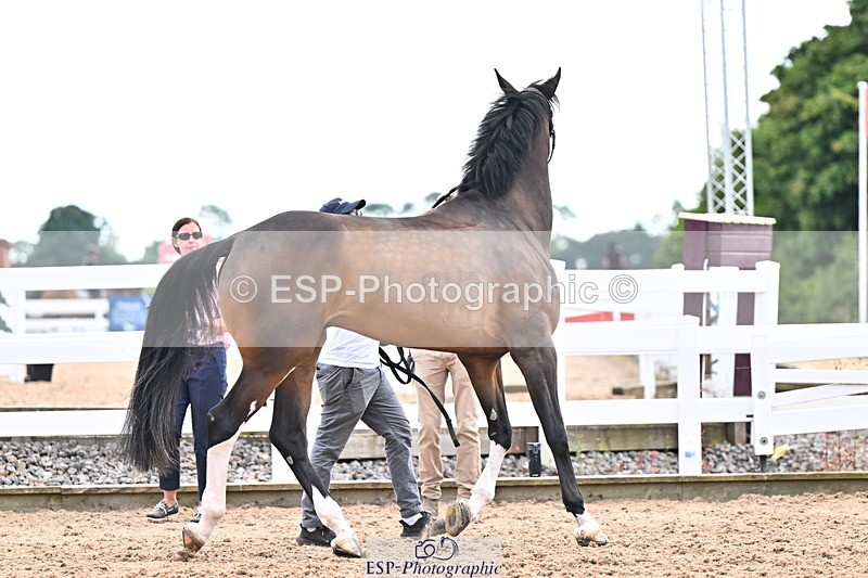 240718A-105328-02054 - Trot Up 2pm to 3pm - This folder is not in time order