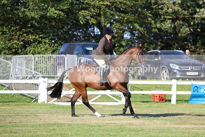 3E7A4968 - Class 1: Rising Star Small Hack/Riding Horses