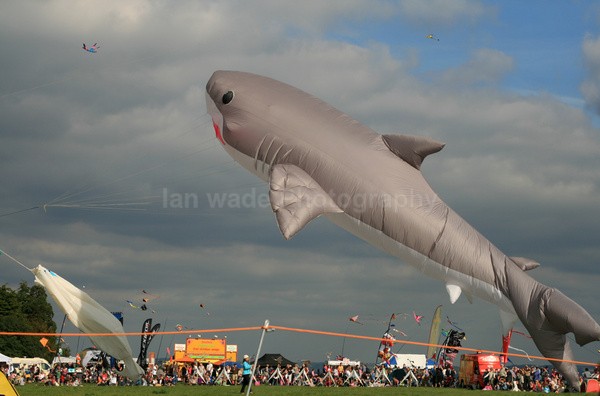  - Festivals & people