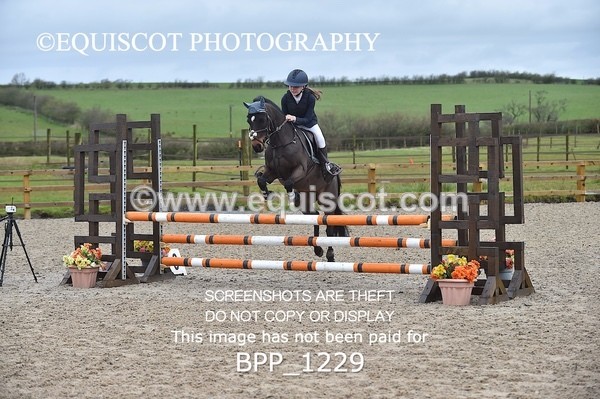 BPP_1229 - CLASS 4 Club/ Unaffiliated 80cms Open