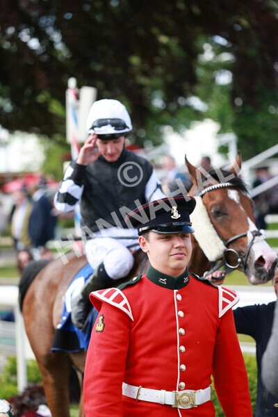 yr21052022r6-32 - Race 6: 4:42pm Yorkshire Regiment Stakes