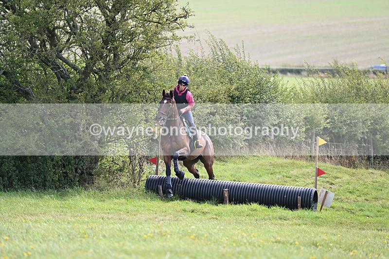 WJ6_8329 - Time 12:18 to 12:59