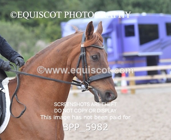 BPP_5982 - PRELIM TEST 5 LONG ARENA