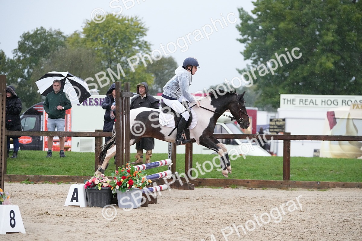 SBM_36033 - J5 - Junior Pony 50cm Championship