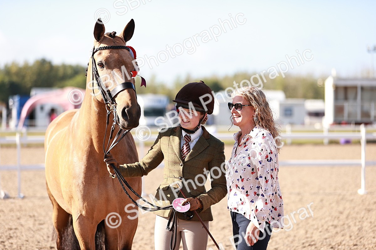 SBM_22096 - Class 703 - IH Coloured