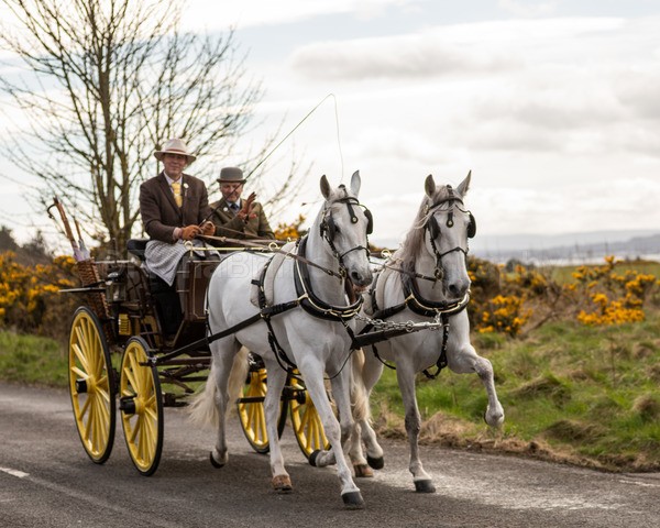 Anne -101 - Troon Easter Monday Drive 2026