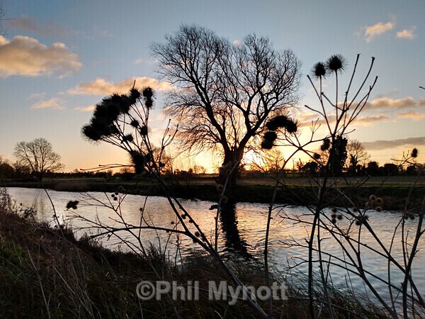 ART0008 - Photo Mynott ART Images