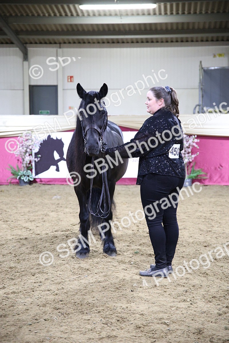 5K7A1575 - Class P Veteran Champ