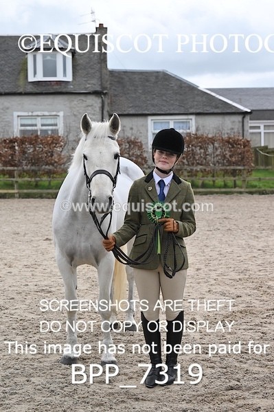 BPP_7319 - RING 1  (RIDDEN HORSES / IN HAND / VETERAN ETC)