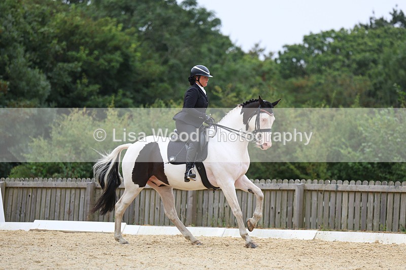 3E7A7368 - Class 9: Elementary 4 2024 - No sections