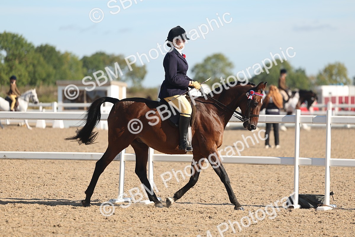 SBM_12274 - Class 304 - Ridden part Bred Horse Pony