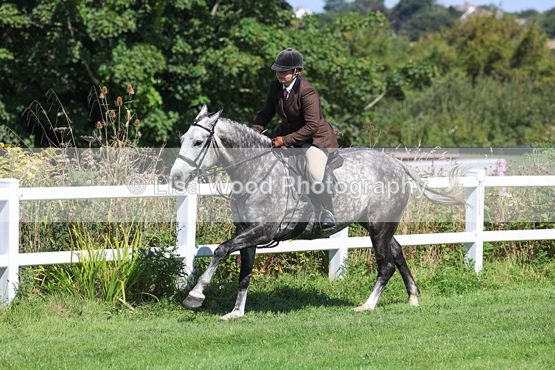 3E7A8407 - Class 4: Novice working Hunter