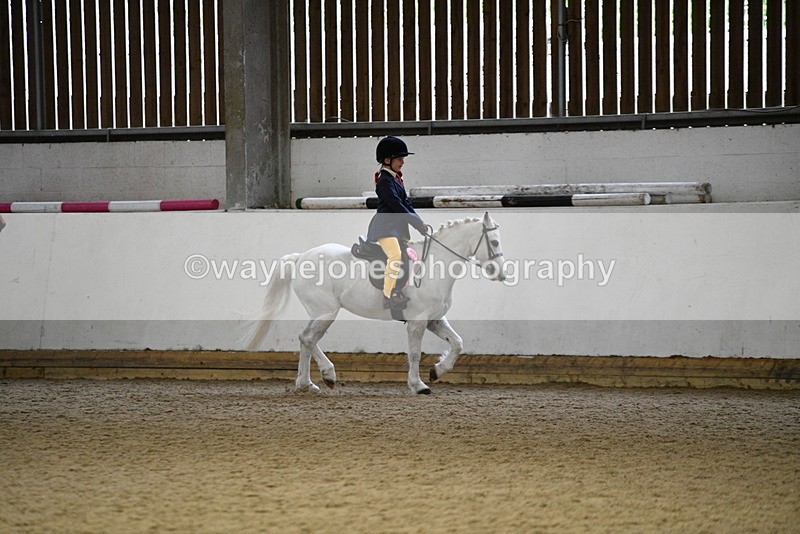 WJ5_7412 - Class 11 Ridden PC - RC Pony